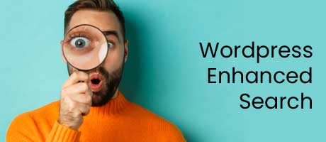 WordPress Enhanced Search Bars